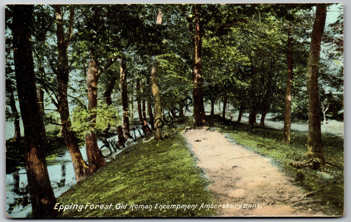 Epping Forest Postcard – Old Roman Encampment, Ambresbury Banks