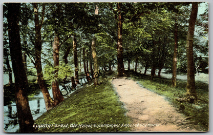 Epping Forest Postcard – Old Roman Encampment, Ambresbury Banks