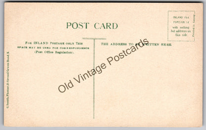 Epping Forest Postcard – Old Roman Encampment, Ambresbury Banks