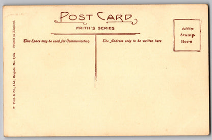 Llan Ffestiniog Cynfal Falls collectable old postcard by Frith