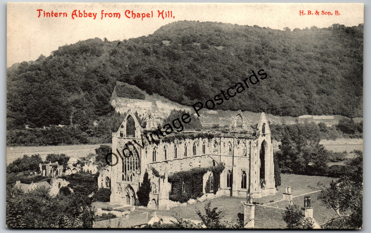 Tintern Abbey from Chapel Hill Vintage Welsh Postcard
