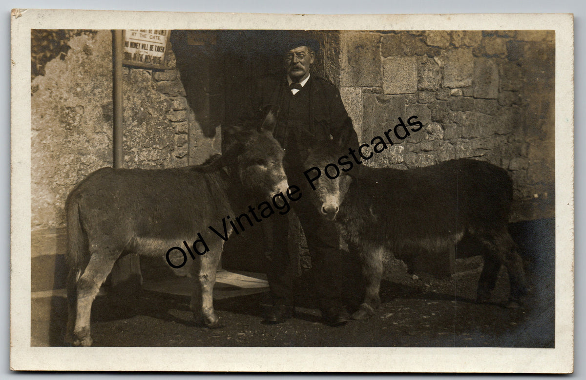 Vintage Postcard - Elderly Man with Two Donkeys - Rural Life Photograph - Early 1900s