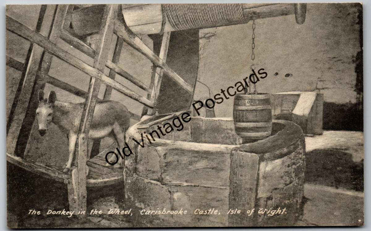 Carisbrooke Castle Donkey Wheel – Isle of Wight Vintage Postcard
