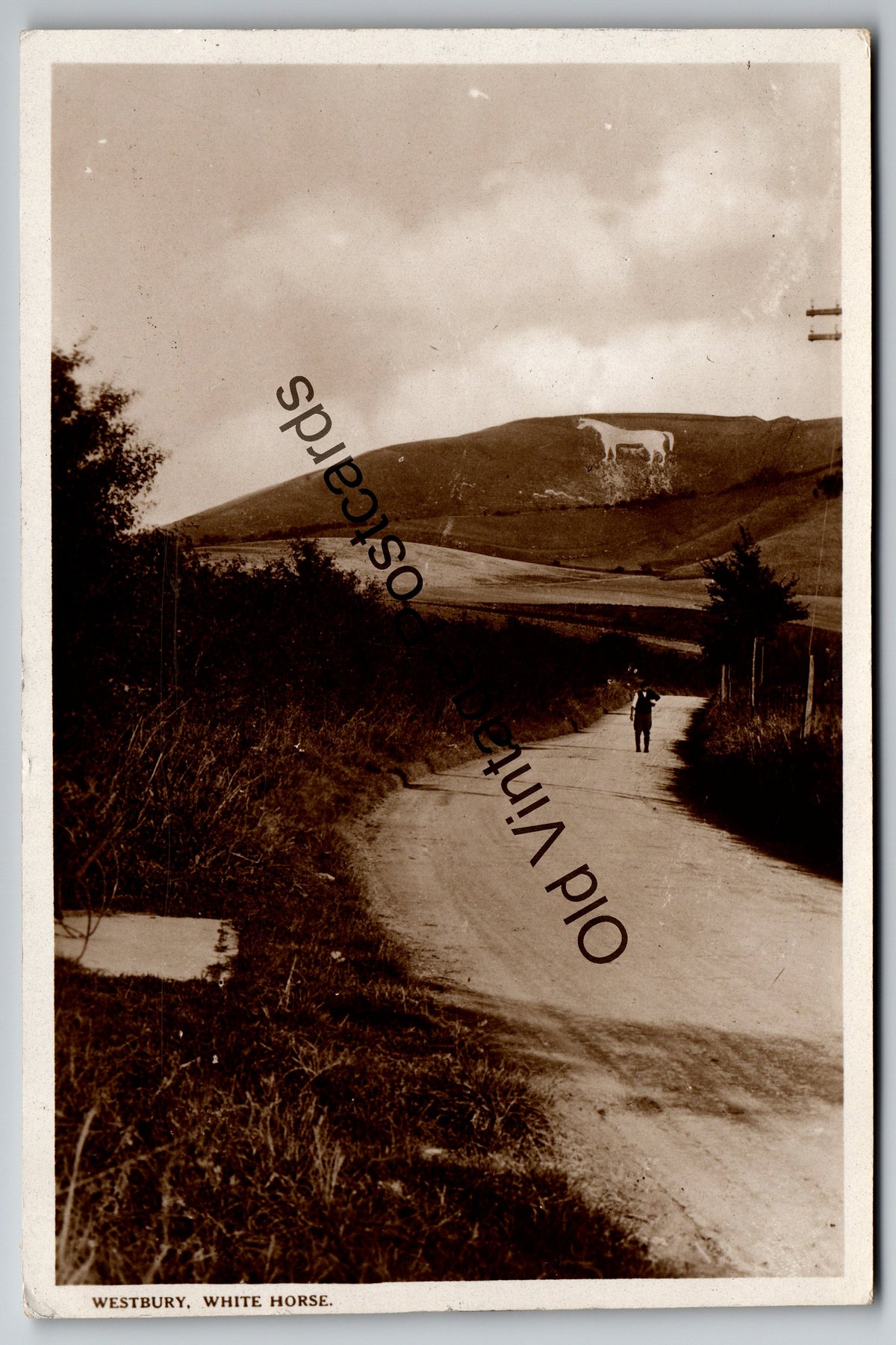 Westbury White Horse, Wiltshire – A.E. Holloway Old Vintage Postcard