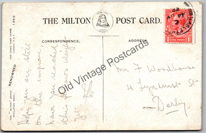 Vintage Comic Postcard – “Do You Allow Mixed Bathing?” – Milton Series