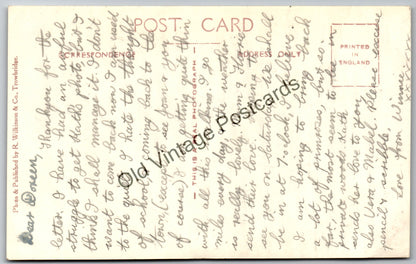 Vintage Postcard – Westbury White Horse, Wiltshire – Sheep in the Foreground